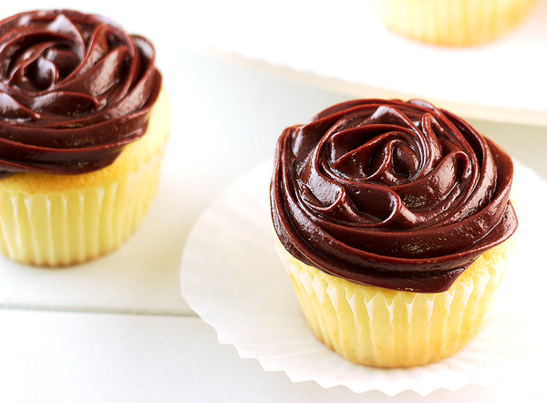 vanilla cupcakes with chocolate frosting
